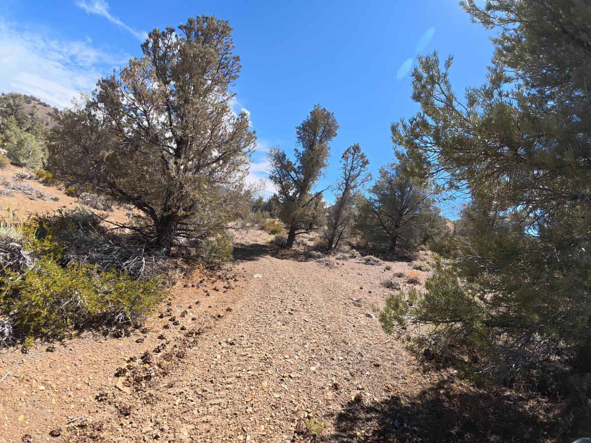 FS 35E303 trail photo