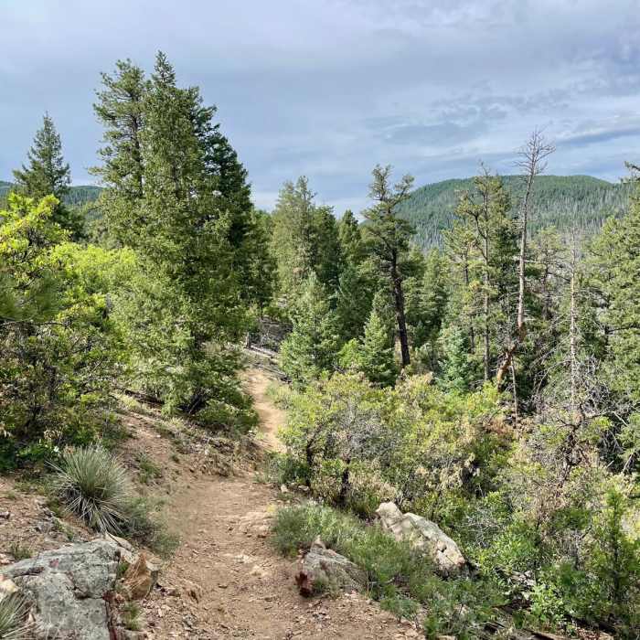 Near Colorado Trail: Indian Creek Alternate