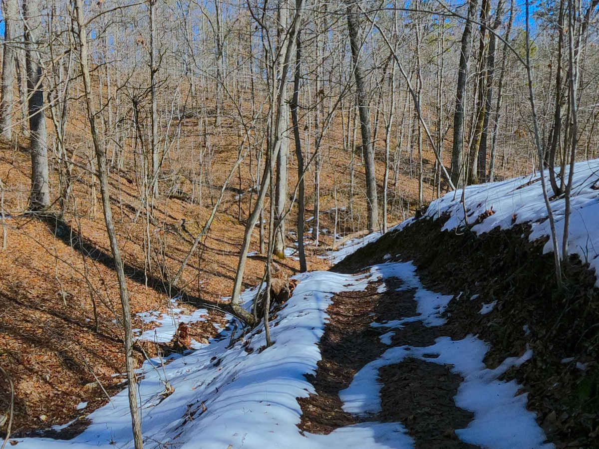 Sutton Bluff ATV 11 - SB 11 photo 5