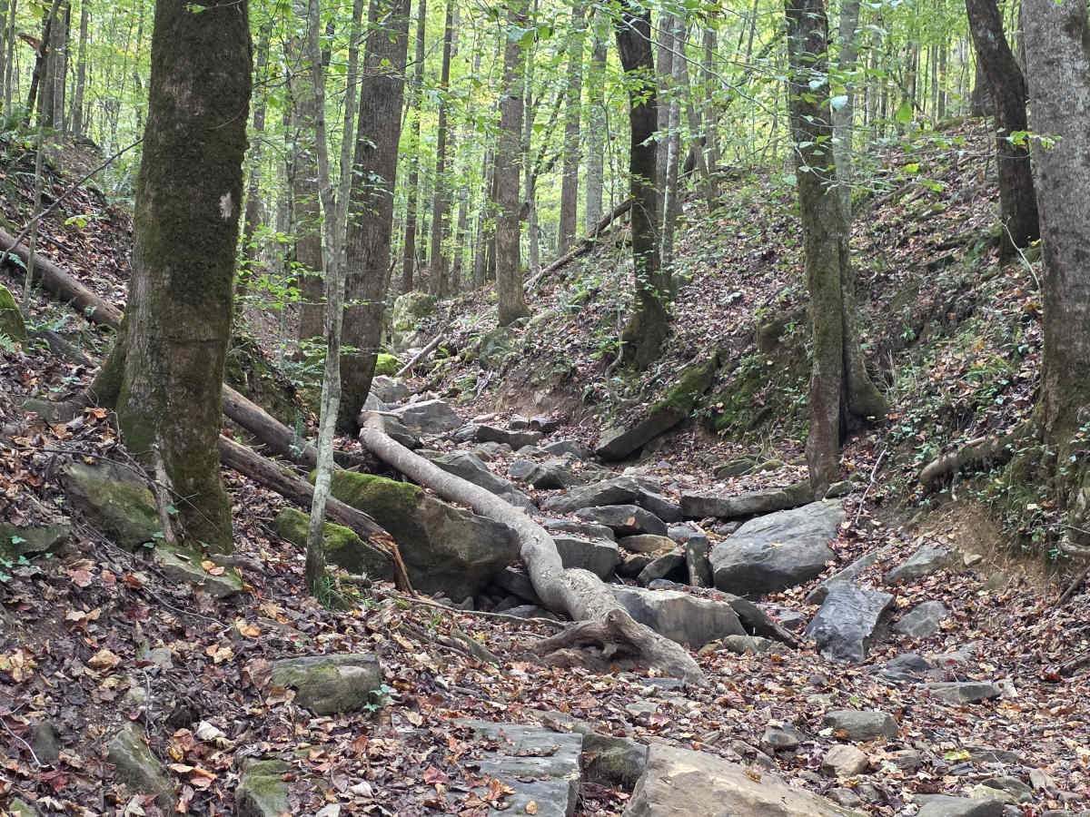 Wrong Turn photo 6