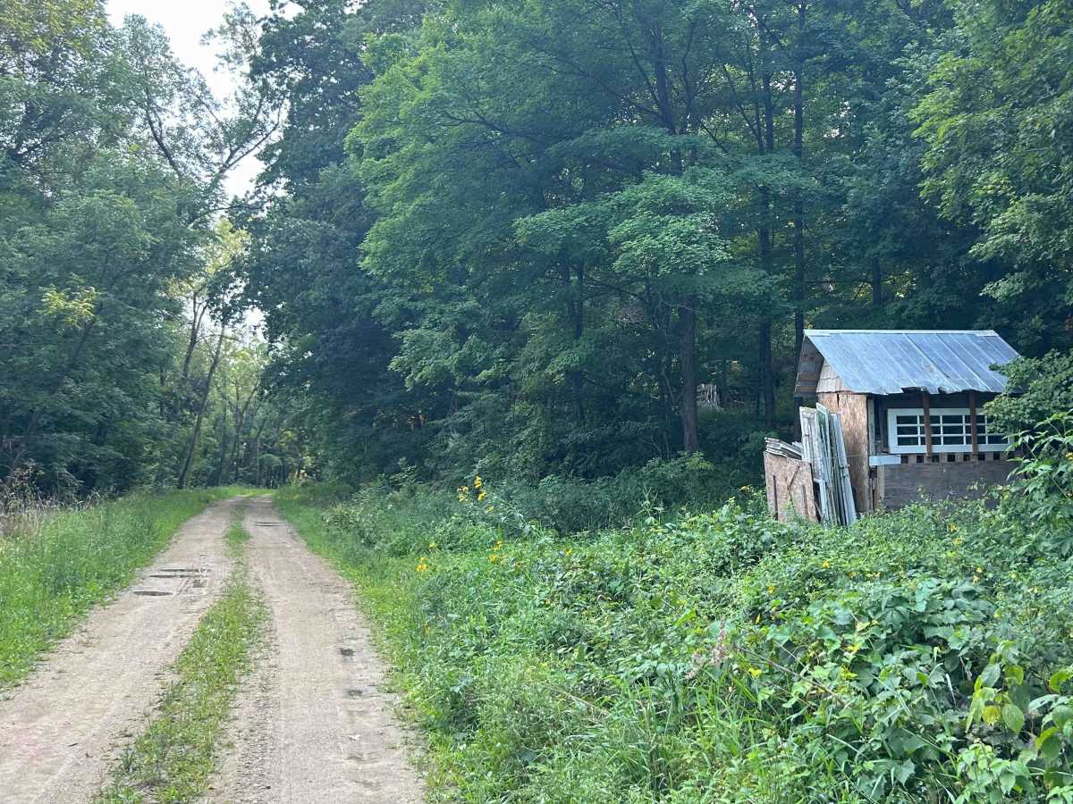 Icehouse Road photo 6