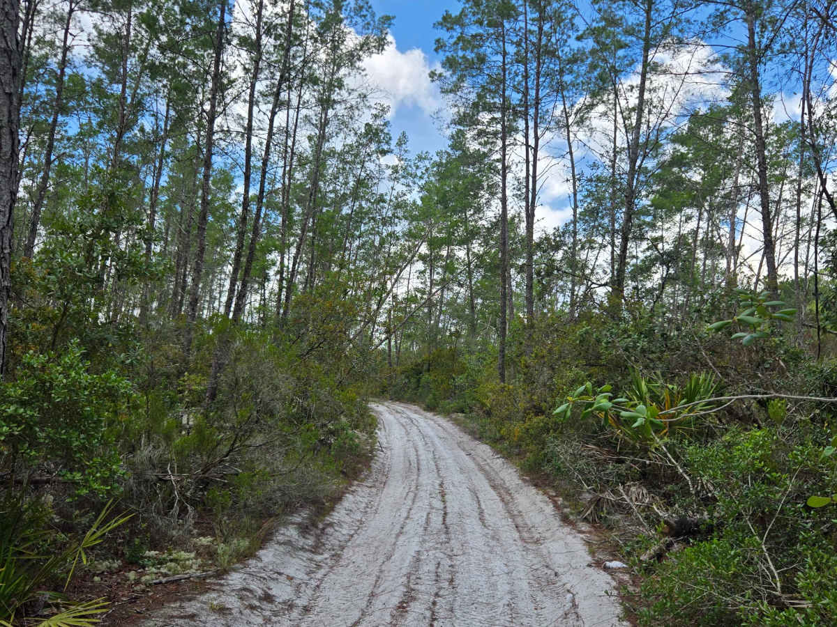 Lake Charles Way photo 3