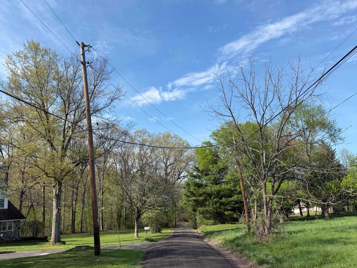 Oak Grove Road  photo 3