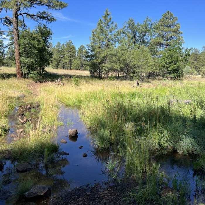 Near Woodland Outerloop Near Woodland Outerloop