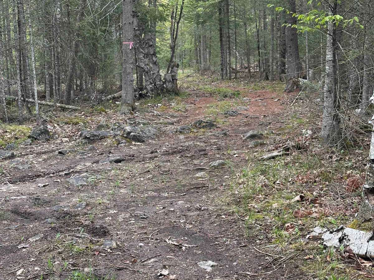 Short Run Loop photo 2