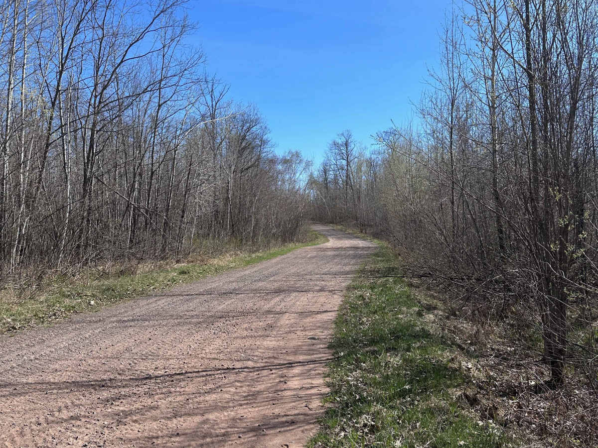 Mallard Lake Forest Road photo 4