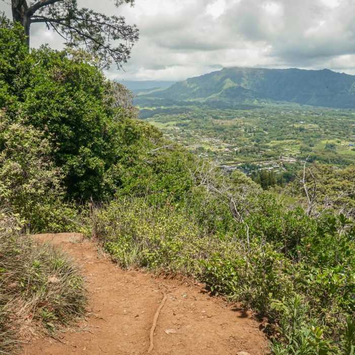 Near Kuamo'o Nounou Trail Near Kuamo'o Nounou Trail