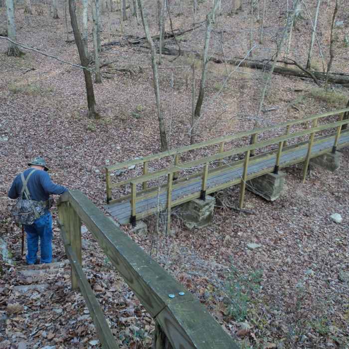 Near Lady's Bluff Trail