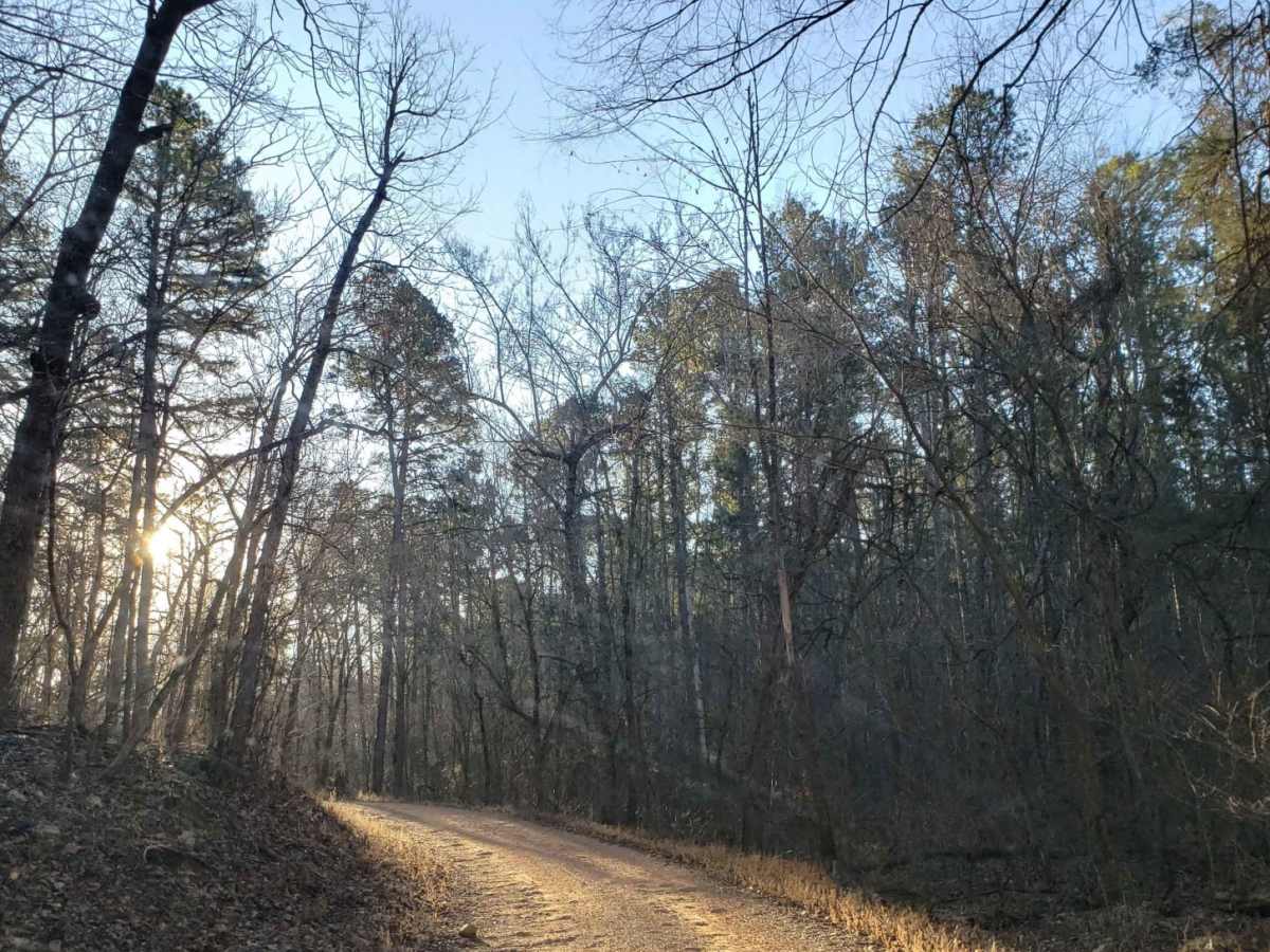 Mark Twain NF Trail photo 5