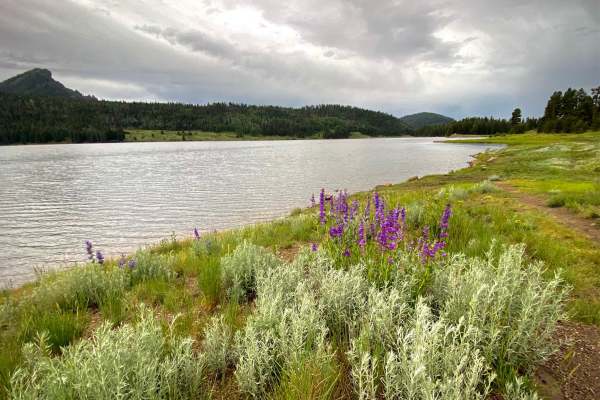 Williams Creek & Reservoir Rd #640