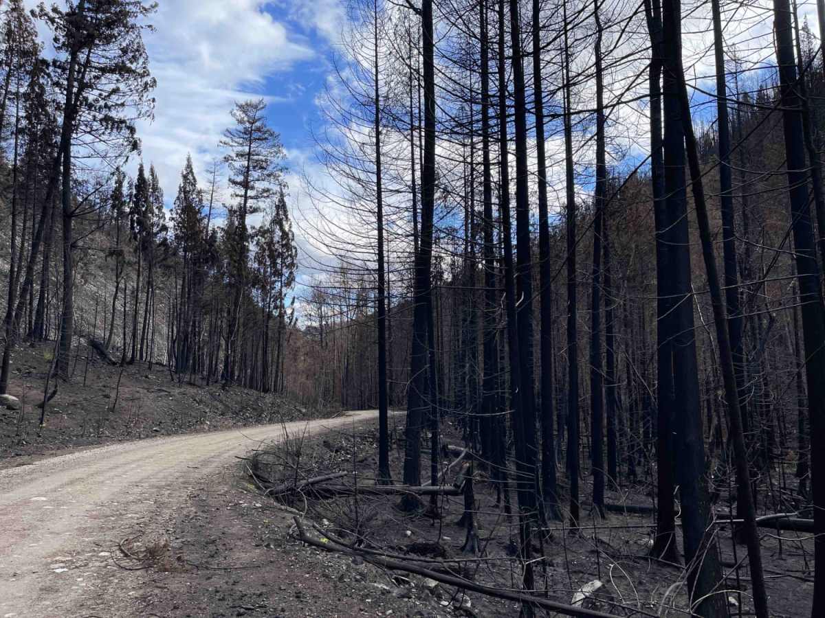 Long Route to Bouleau Lake photo 6