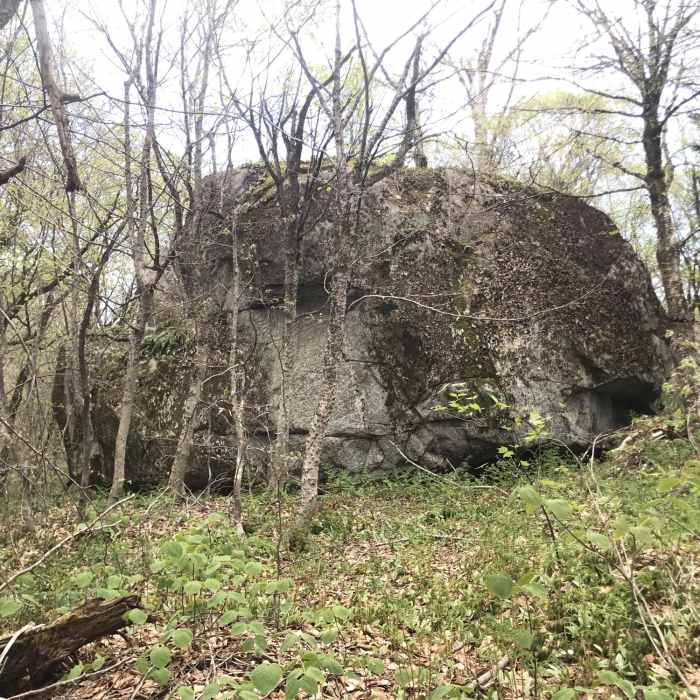 Big Boulder Near The Long Trail (Division 6)