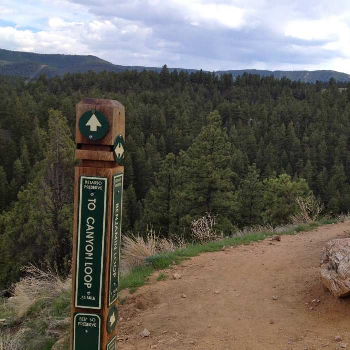 Arriving at the Benjamin loop from the connector. Near Betasso Preserve