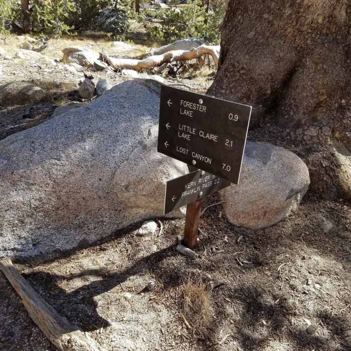 Near Soda Creek Trail