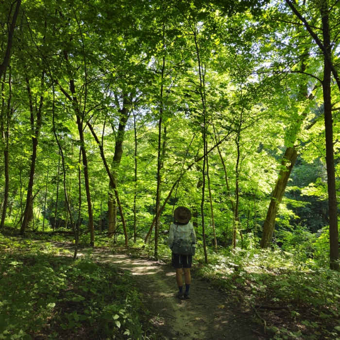 On the trail toward Cedar Hills Park. Near Riley Creek Nature Trail