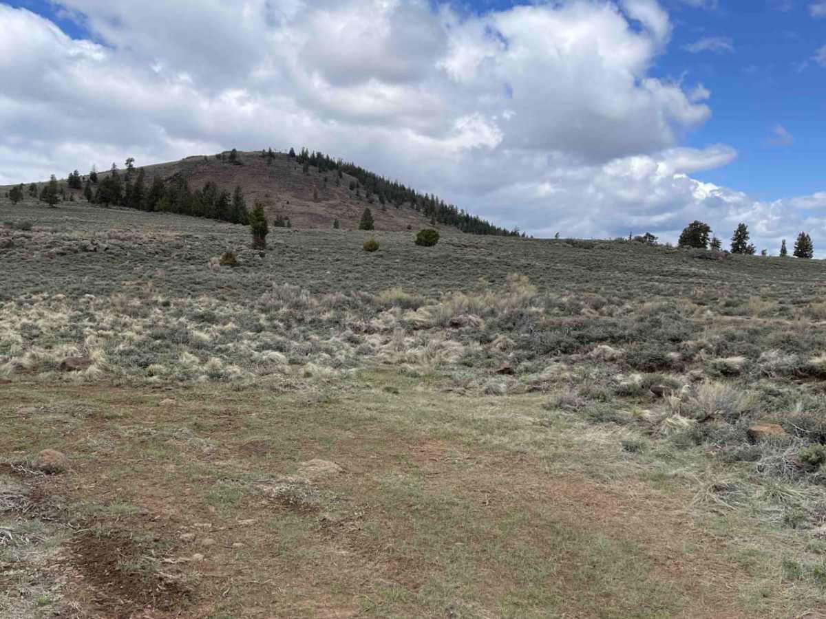San Antonio Mountain Loop photo 2