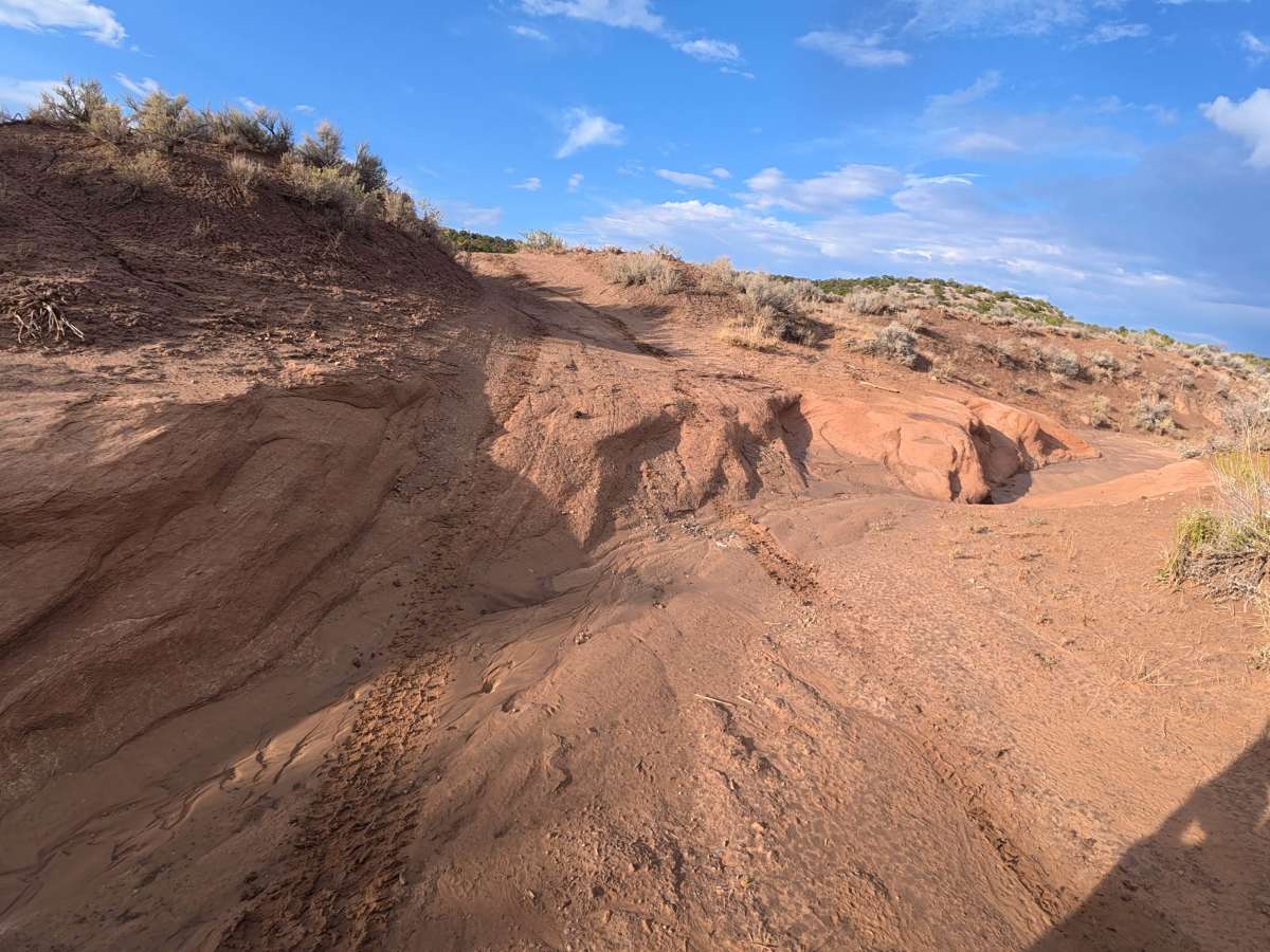 BLM 621A photo 3