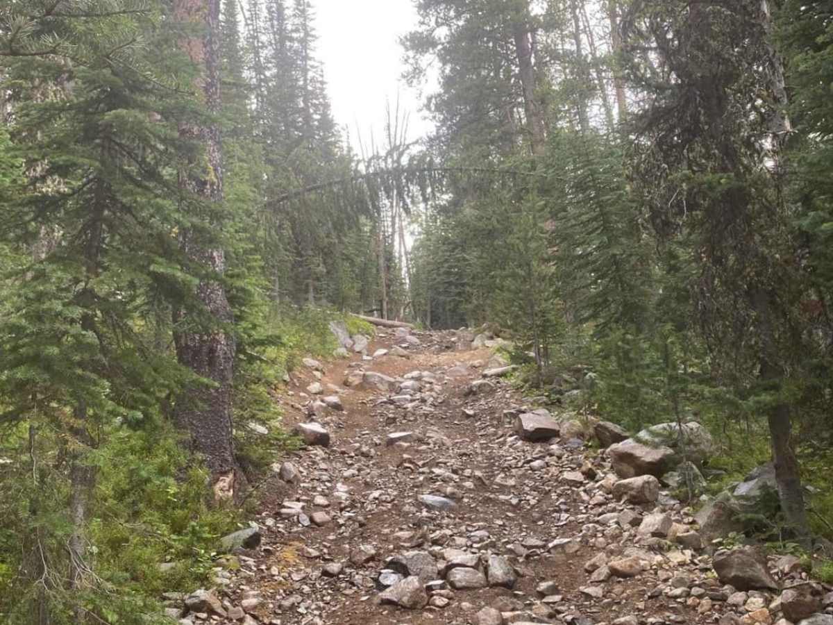 Cliff Lake Trail photo 5
