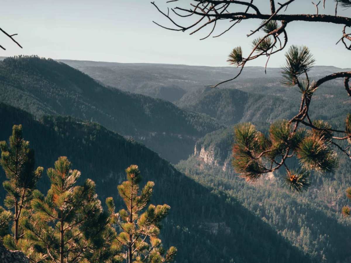 Spearfish Mountain photo 5