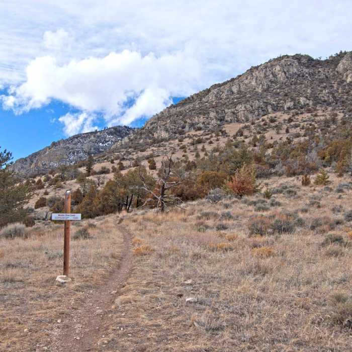 Near Middle View Trail