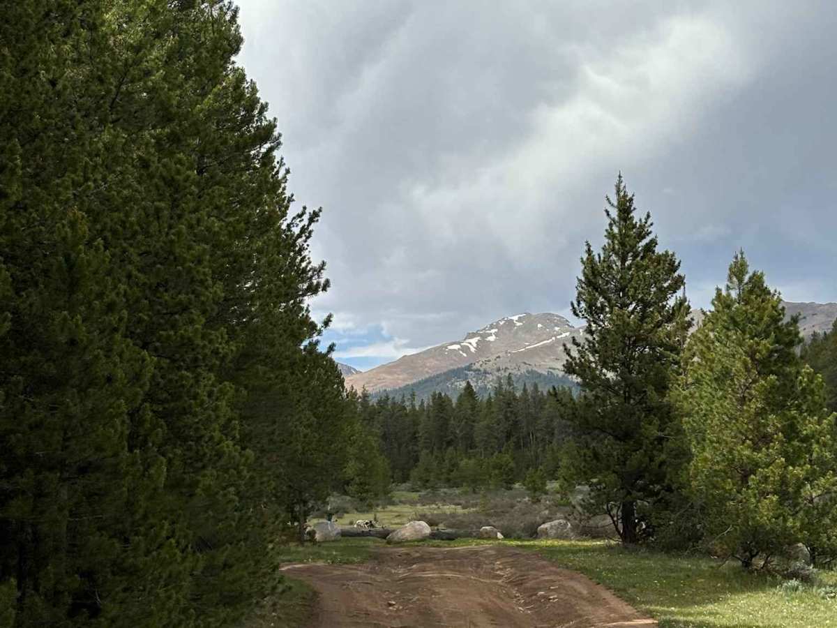 North Taylor Sp Road photo 4