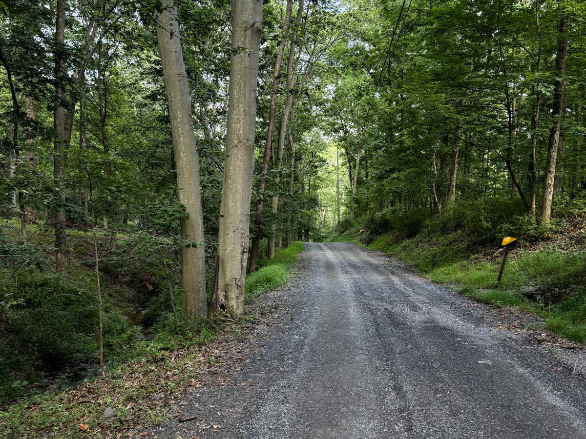 Twin Lear Road  photo 3