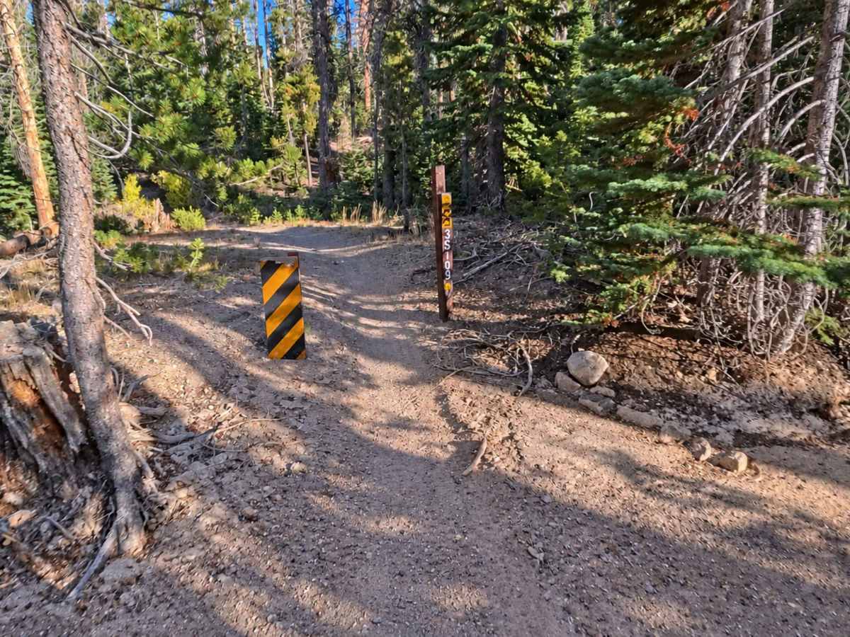 FS 3S109 Singletrack trail photo
