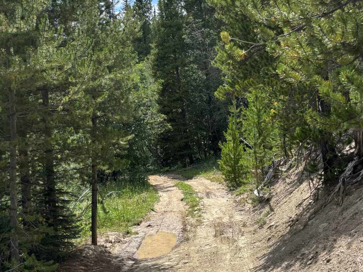 Parkview Mountain Mine Ingress trail photo