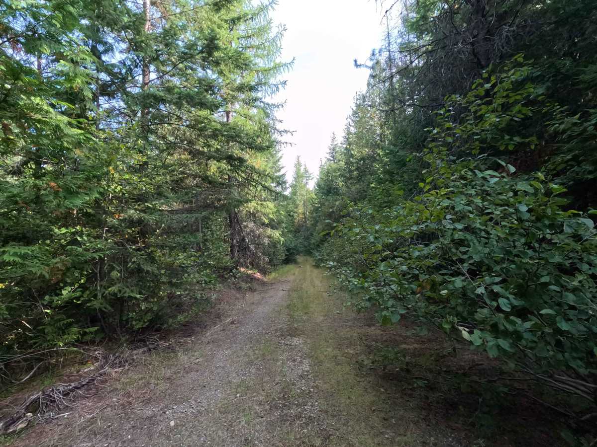 East Huckleberry - FS 1700444 photo 6