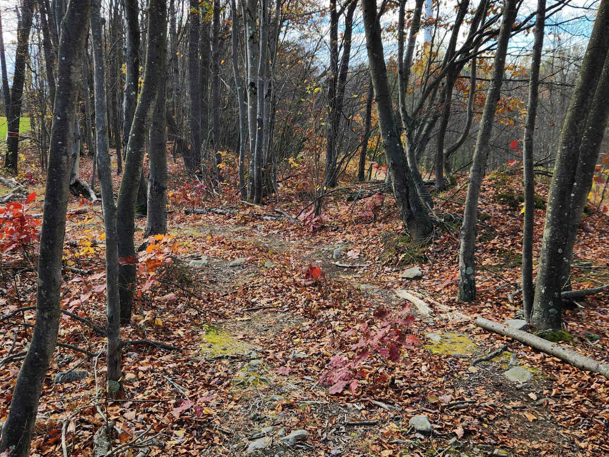 OHV 9 - Rock Run Recreation Area photo 3