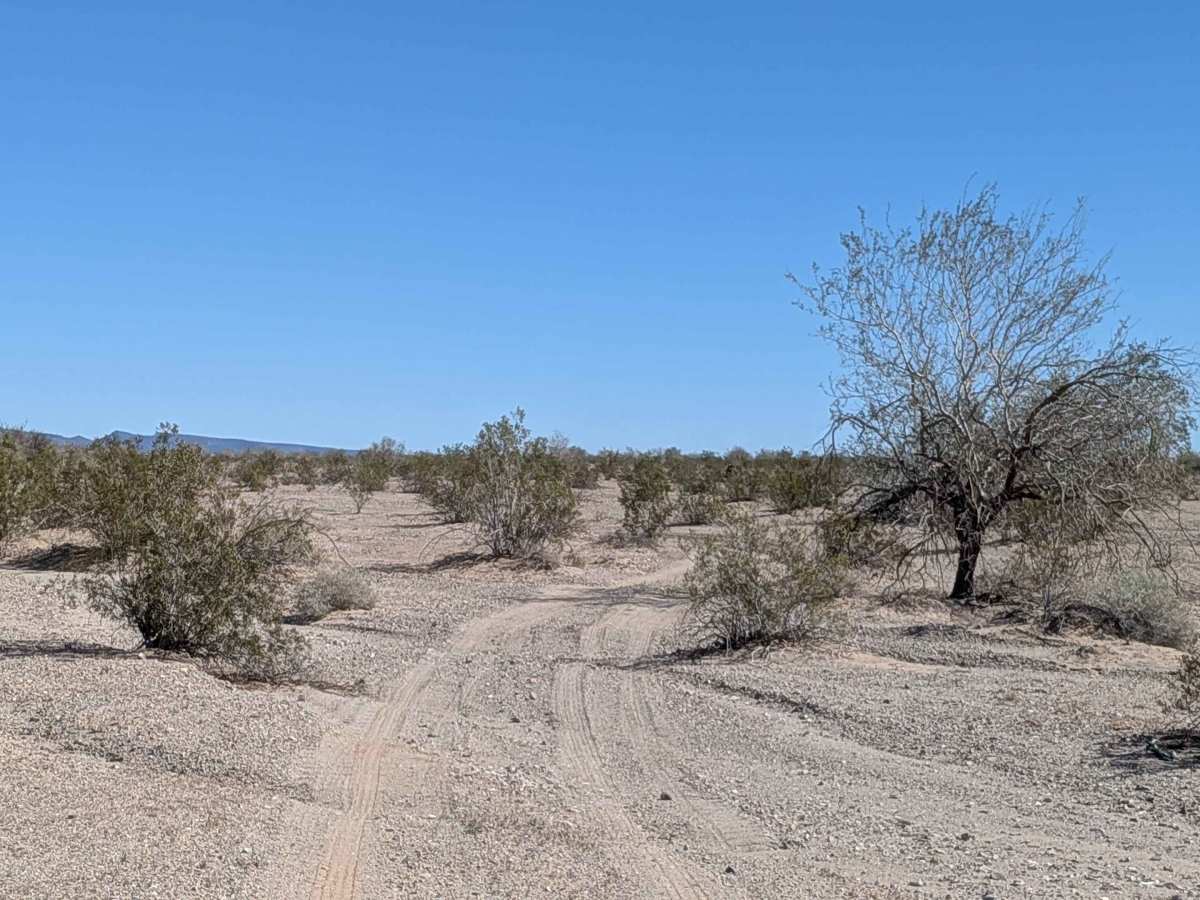 BLM 760 photo 2