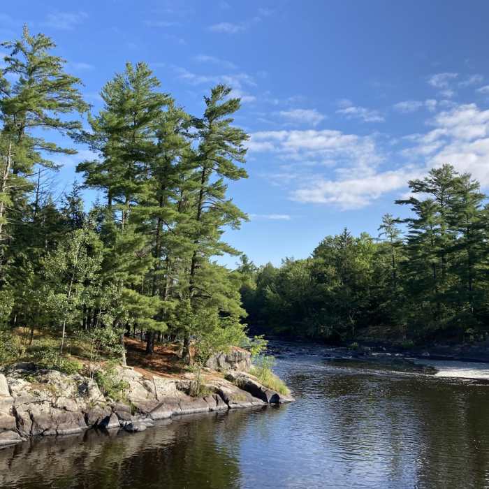Near Little Falls-Slough Gundy Scenic Area Trail Near Little Falls-Slough Gundy Scenic Area Trail