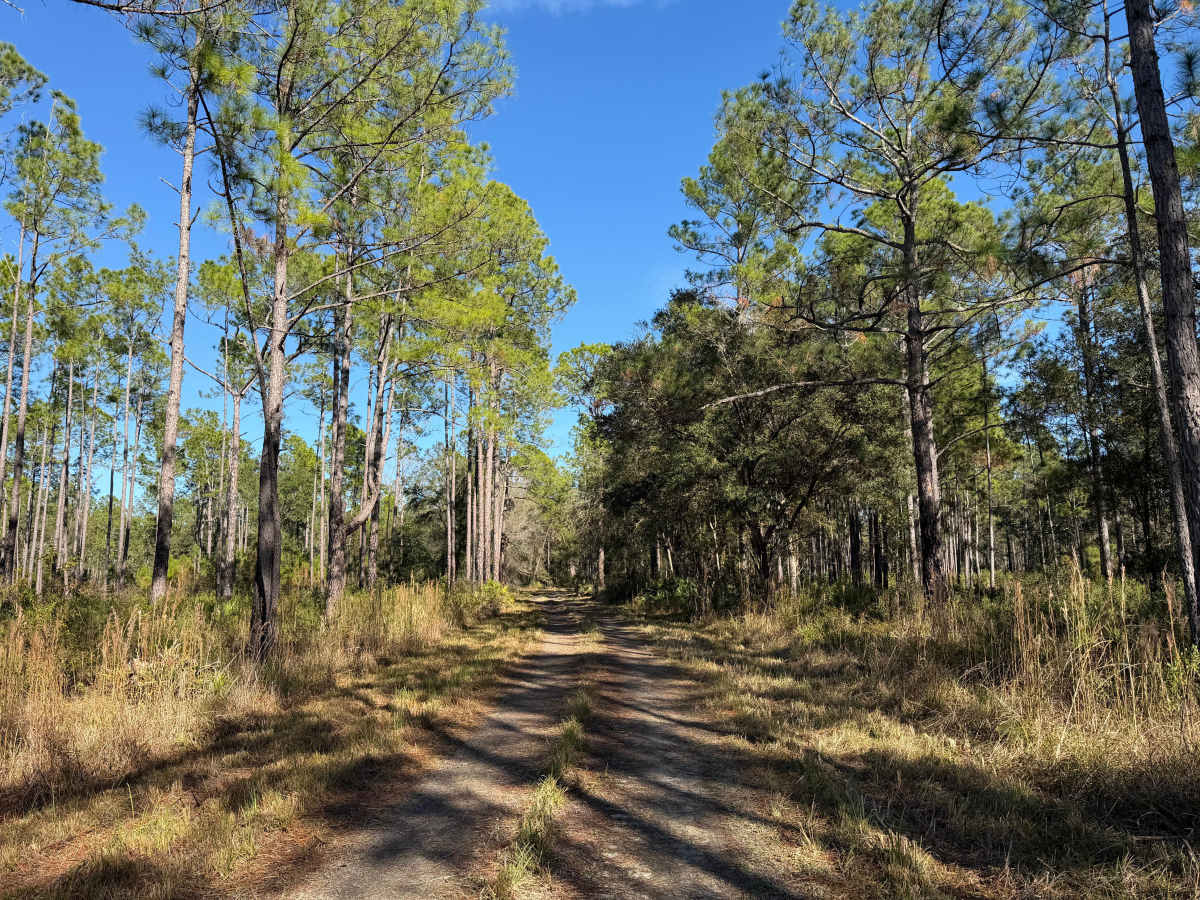 Oilwell Road photo 3