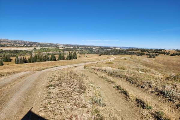Toms Knoll - FS 52292