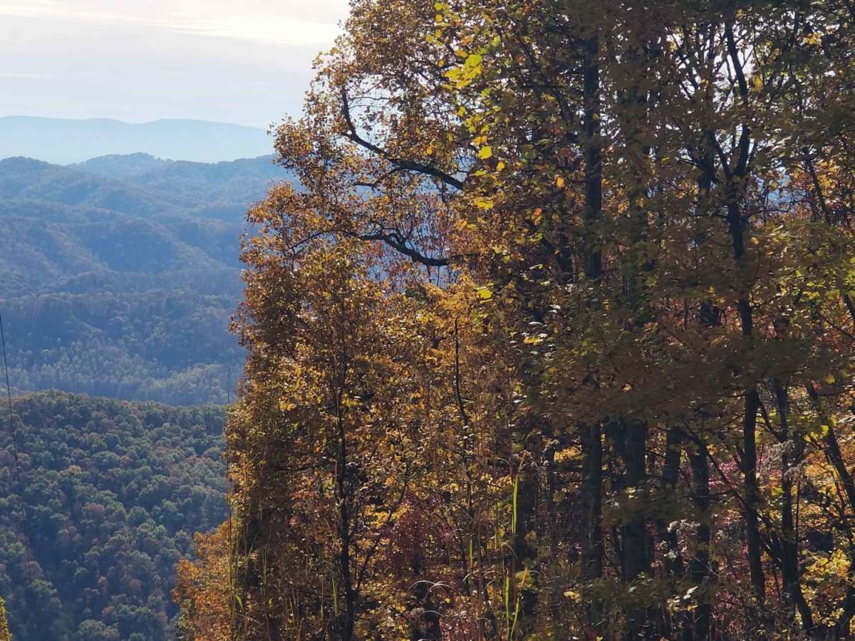 Clinch Mountain Fire Tower photo 2