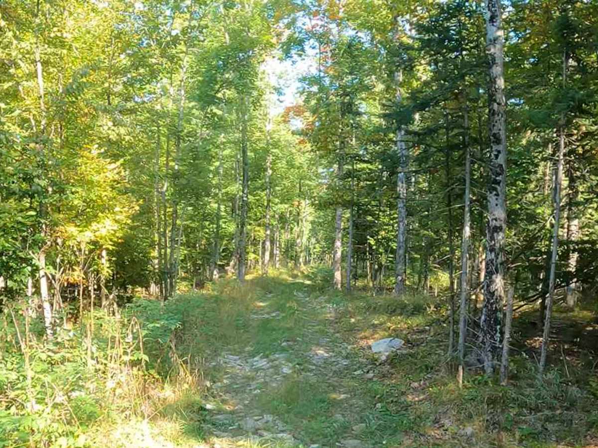 Limestone Road photo 3