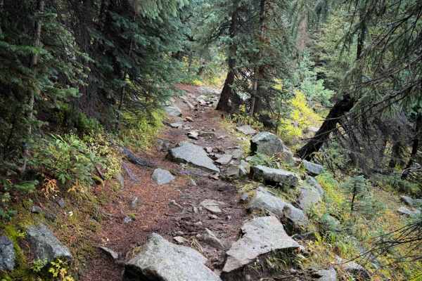 Comales Cutoff Trail 