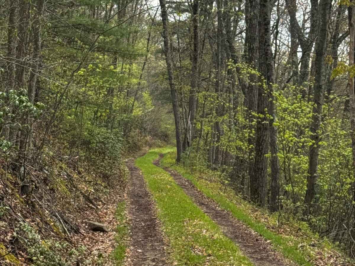 Naval Run Trail photo 5