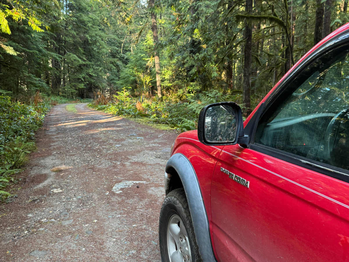 Rat Trap Pass Spur 1 trail photo