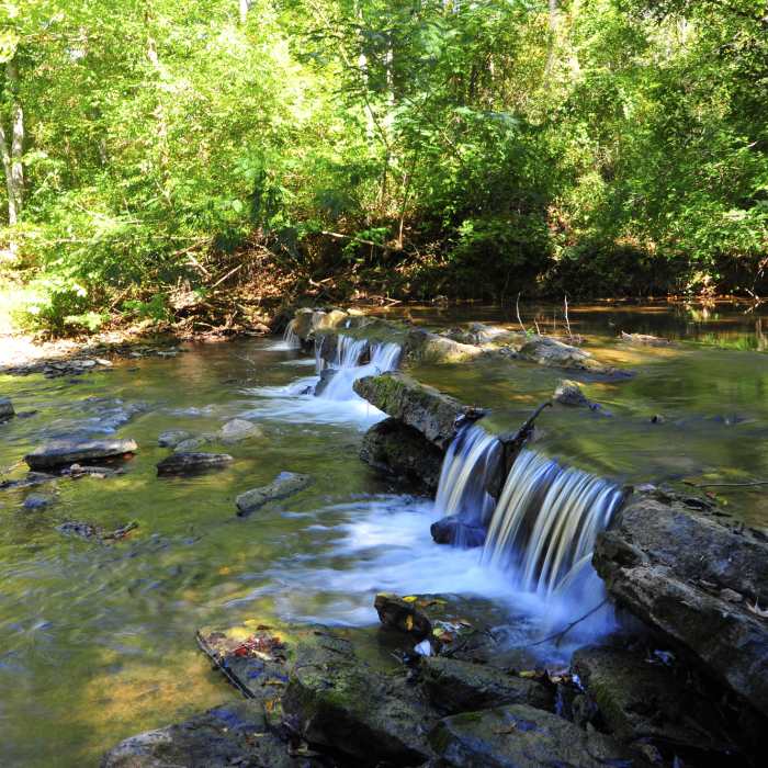 Mud Creek Falls is located just off the Dam Trail. Near Tannehill Ironworks Loop