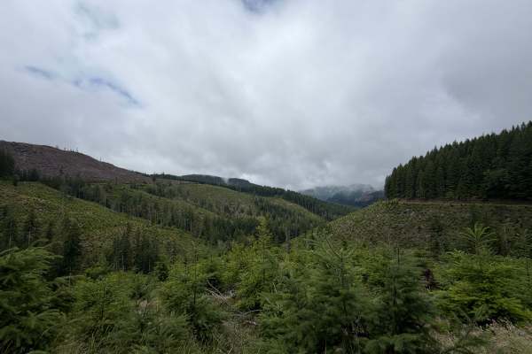 Salmonberry Road