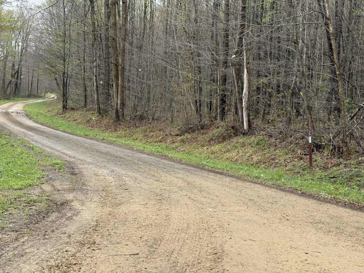 Rock Run C - FS 117C trail photo
