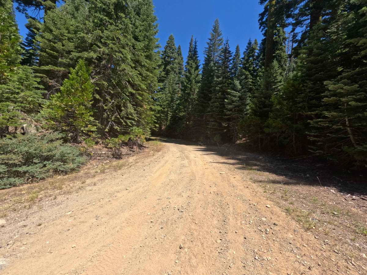 Upper Votaw - FS 8N13 photo 6