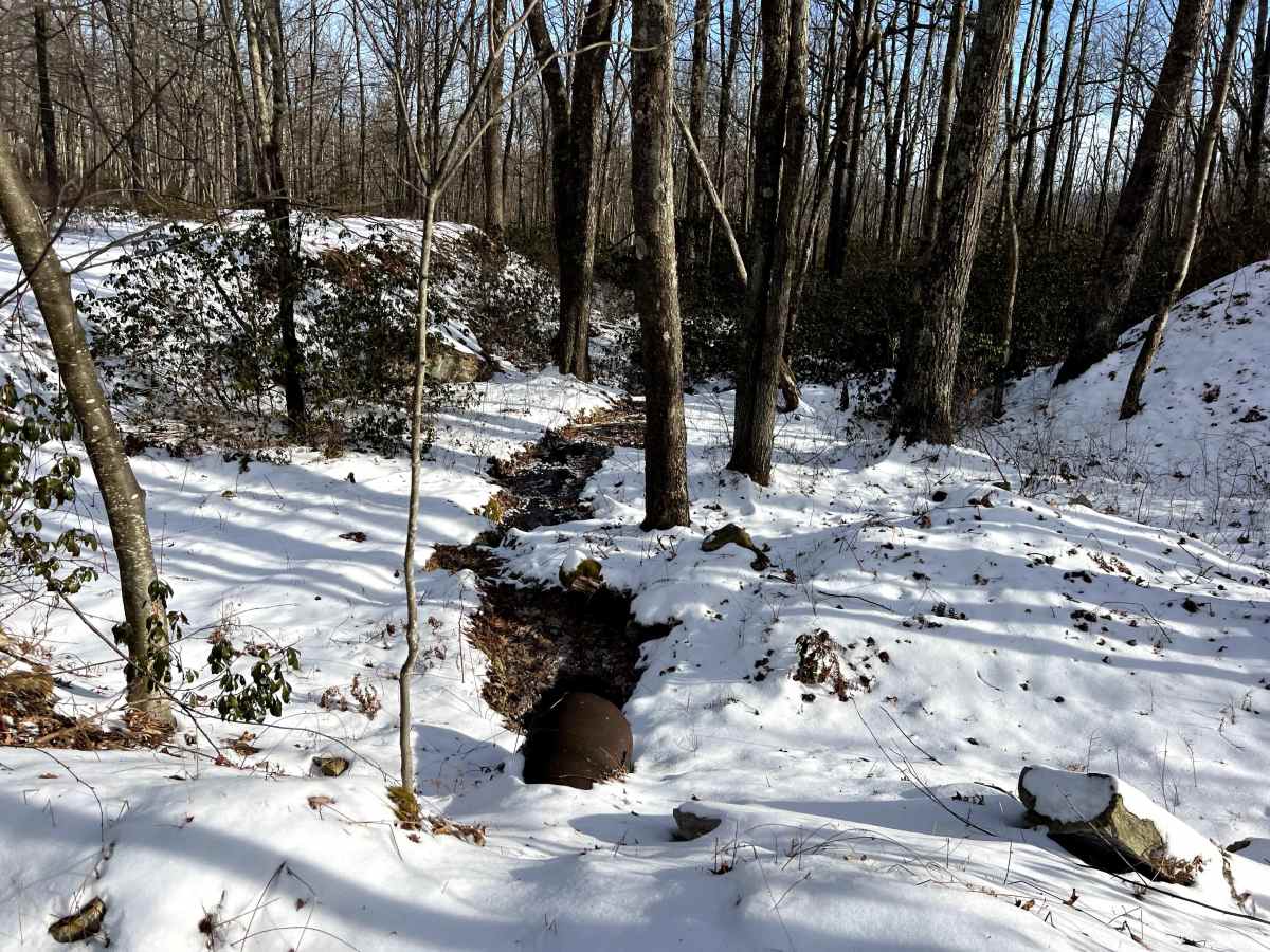 Coffer's Vista Trail photo 4