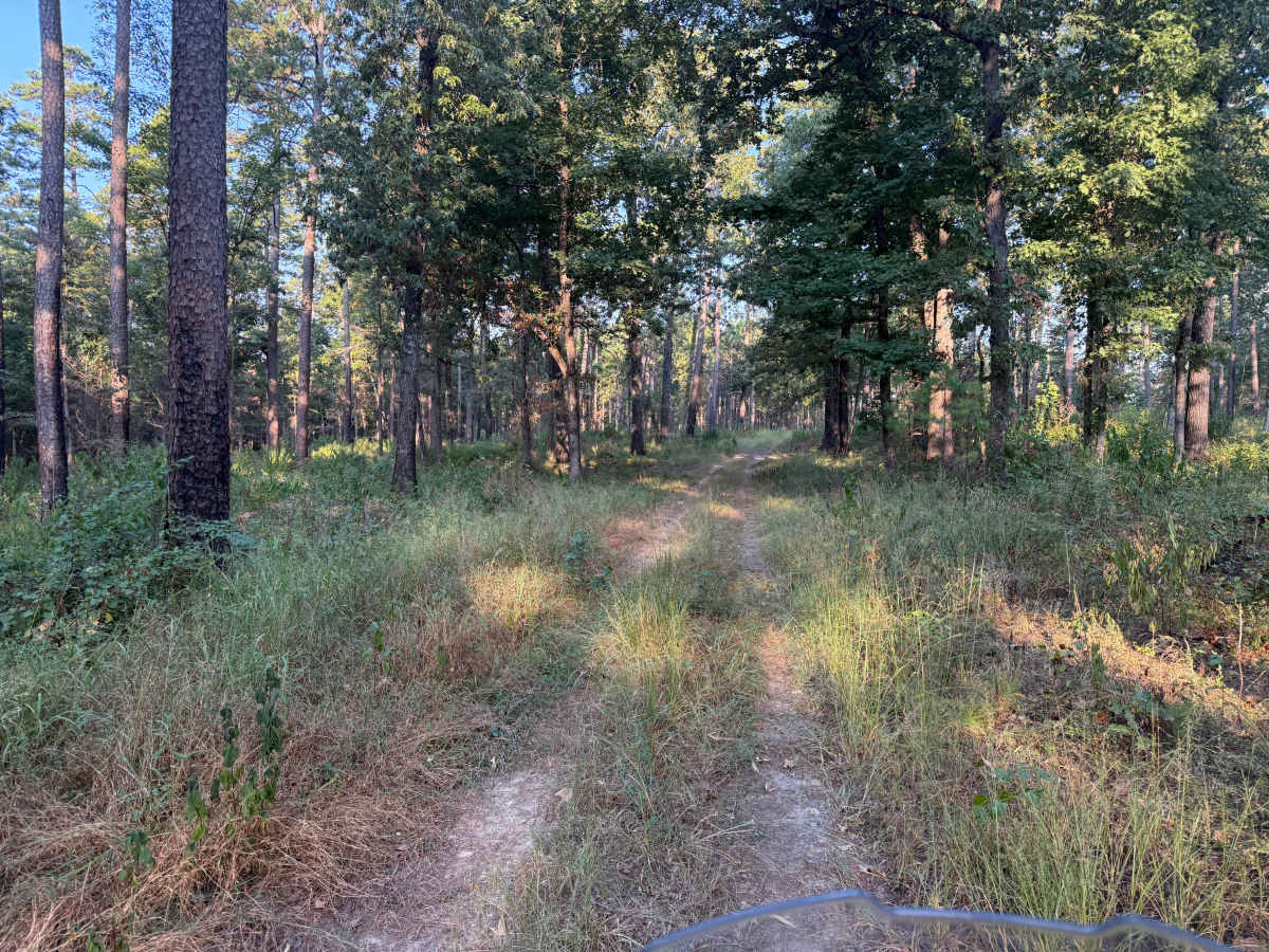 Flat Ridge Spur photo 4