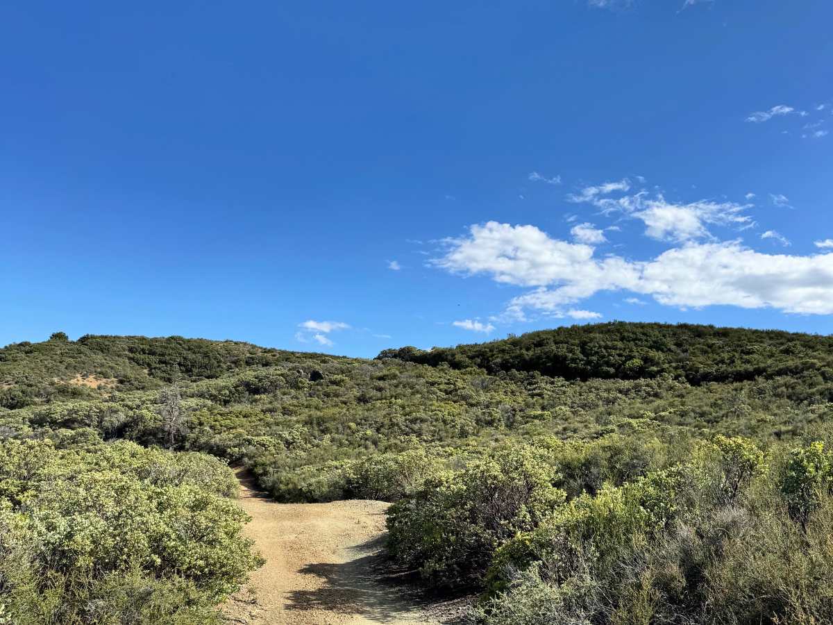 Black Diamond - FS  18N30 trail photo