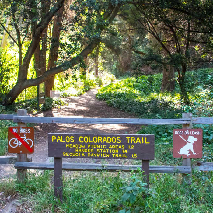 Near Joaquin Miller Park Loop