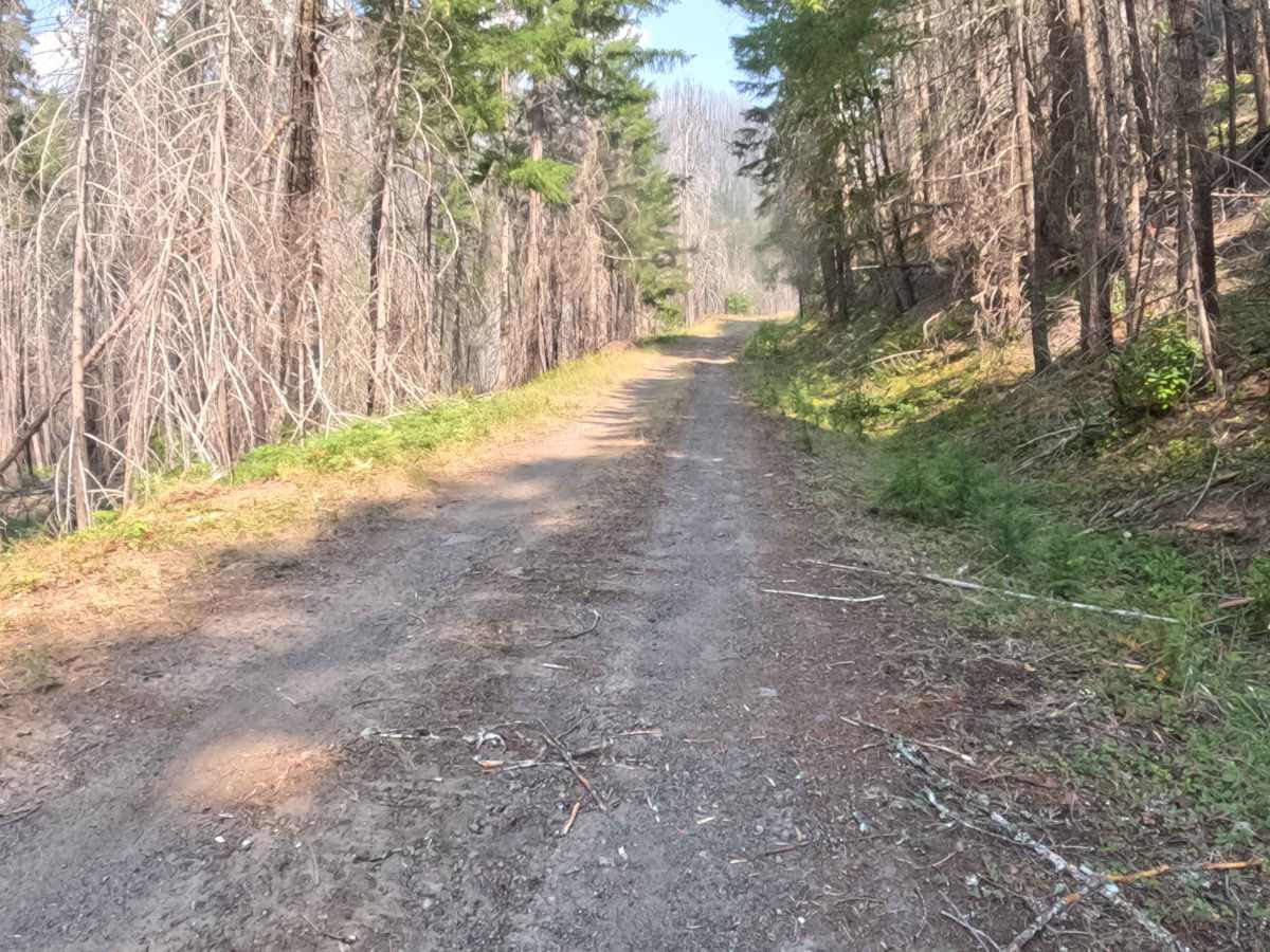 Mari-linn Road - FS 2242000 photo 4