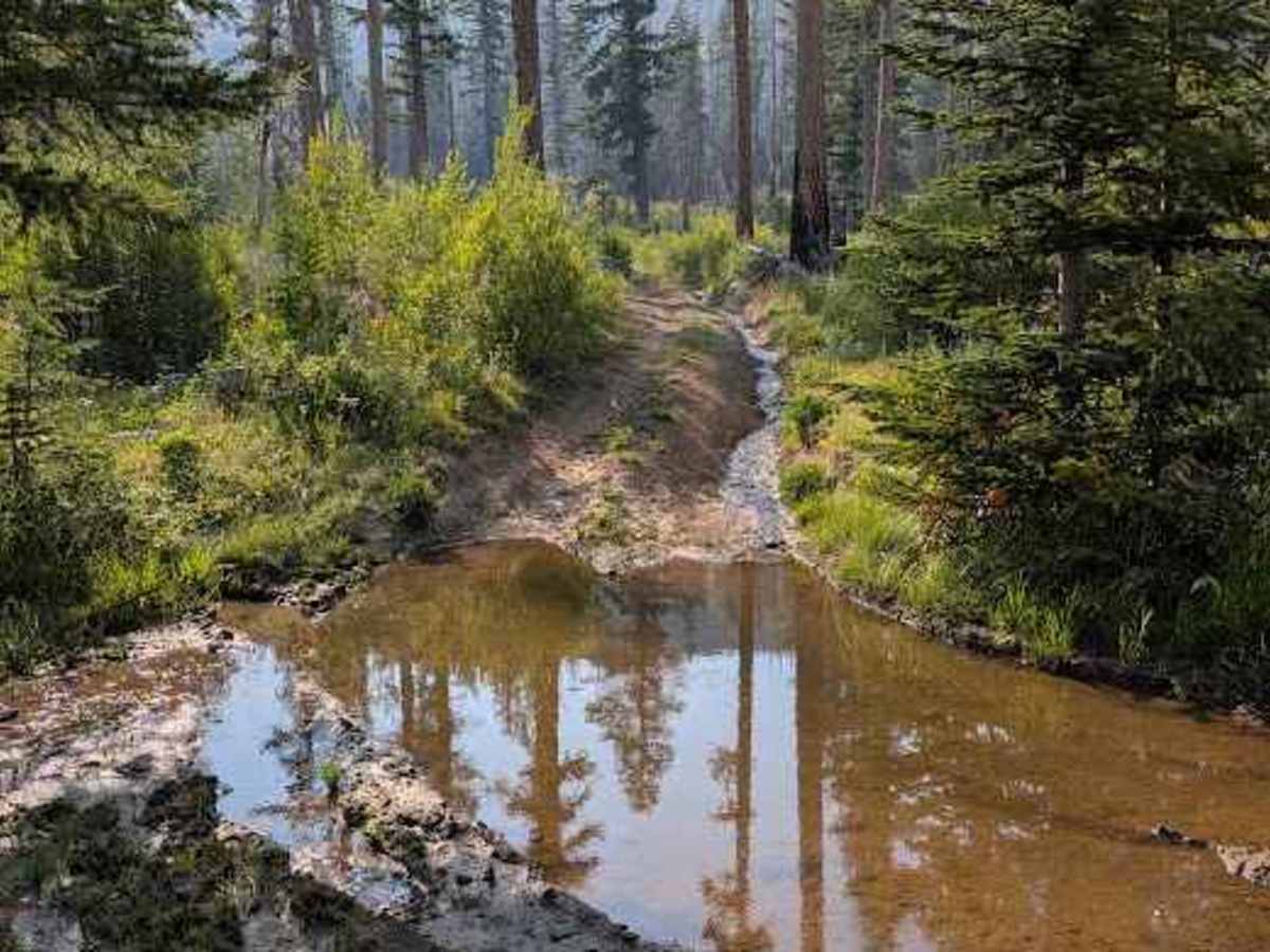 Nealy Creek - FS 4W315 photo 2