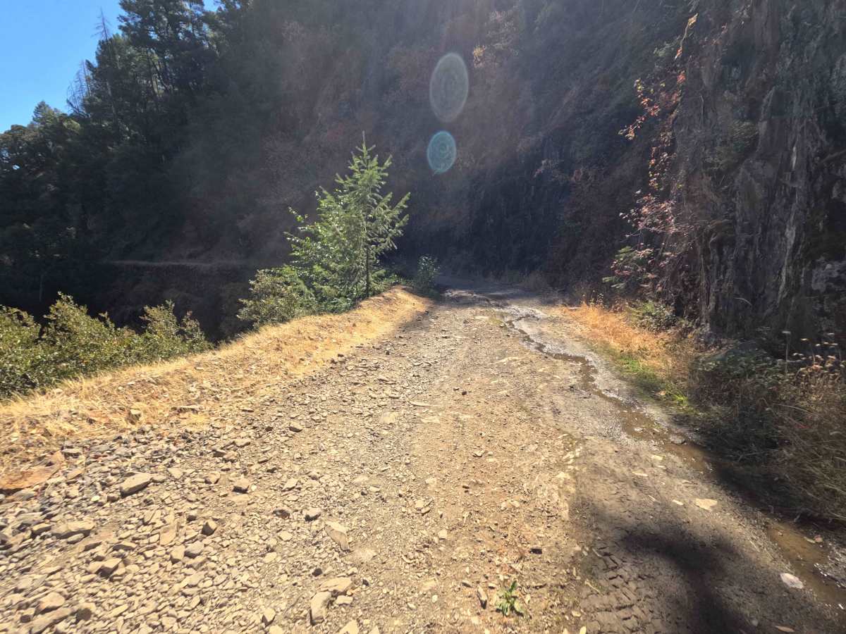 Tyler Foote Crossing Road photo 3